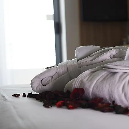 Alisei Palace Hotel Rimini