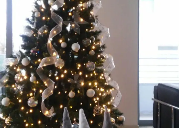 Alisei Palace 4* Rimini