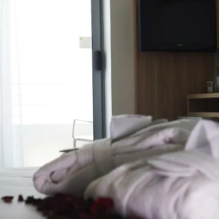 Alisei Palace ホテル リミニ