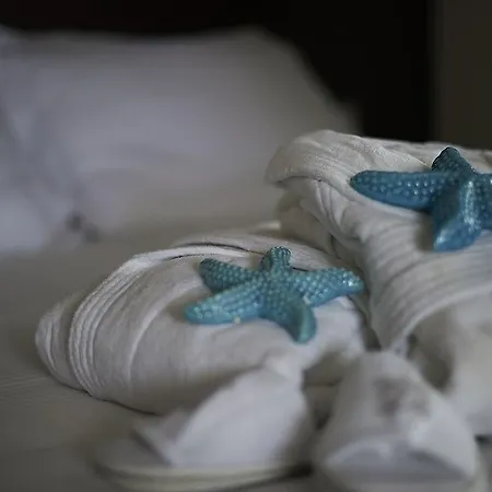 Hotel Alisei Palace Rimini