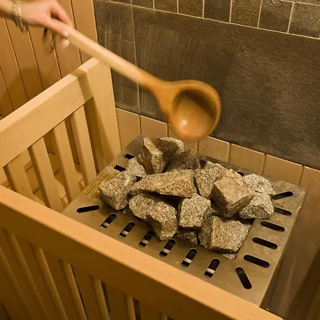 Отель Alisei Palace 4*