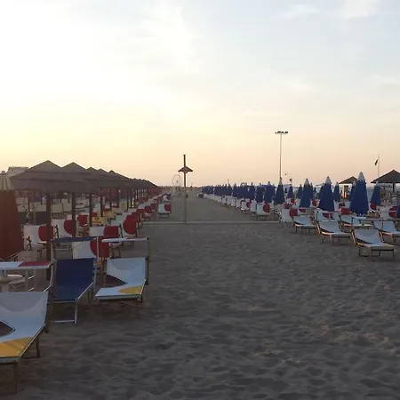 Alisei Palace Отель