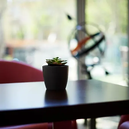 Отель Alisei Palace 4*